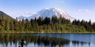 Washington se posiciona entre los estados más limpios y ecológicos, según nuevo informe