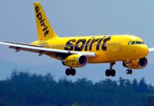 Spirit Airlines cesa operaciones y cancela todos sus vuelos en Estados Unidos