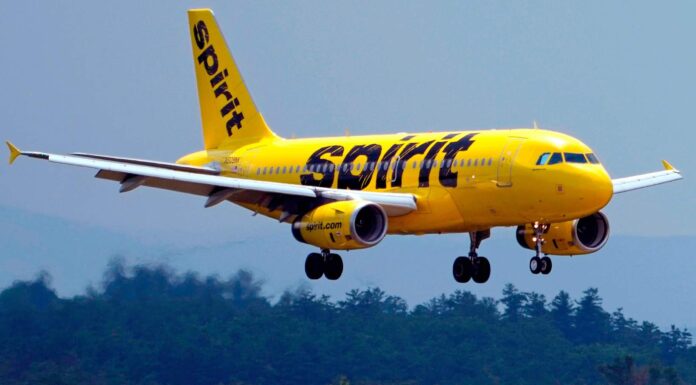 Spirit Airlines cesa operaciones y cancela todos sus vuelos en Estados Unidos