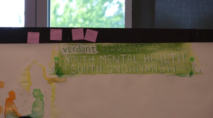Verdant convoca a líderes por la salud mental juvenil en el sur del condado Snohomish Mural colaborativo creado durante el encuentro comunitario de Verdant Health Commission sobre salud mental juvenil en el sur de Snohomish County.