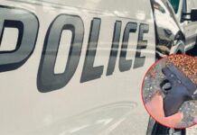 Jovencito arrestado por presuntamente apuntar con arma robada a conductor en Bremerton