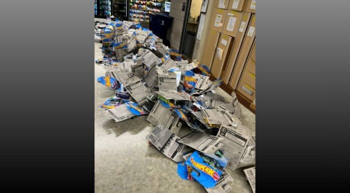 Bolsa sospechosa revela extensa colección de carritos ‘Hot Wheels’ Colección de Hot Wheels encontrada por las autoridades — Imagen: Departamento de policía de Tacoma