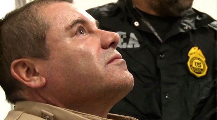 El Chapo Guzmán solicita extradición a México ante tribunal en Nueva York Foto proporcionada por la DEA del narcotraficante Joaquín "El Chapo" Guzmán en al aeropuerto Long Island MacArthur en Ronkonkoma, Nueva York, luego de ser extraditado a Estados Unidos en enero de 2017. (United States Drug Enforcement Administration via AP)