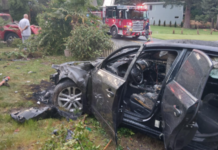 Sospechoso de DUI detenido tras huir de aparatoso accidente en north Lynnwood Vehículo con daños severos y señales de incendio tras un aparatoso choque cerca del lago Stickney — Imagen: Oficina del sheriff del condado de Snohomish