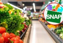 Disminuye la inscripción al programa SNAP en WA por temor y nuevos requisitos