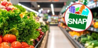 Disminuye la inscripción al programa SNAP en WA por temor y nuevos requisitos