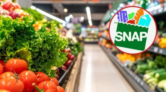 Disminuye la inscripción al programa SNAP en WA por temor y nuevos requisitos