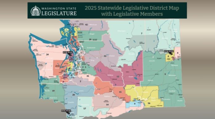 Juez federal mantiene vigentes los mapas legislativos de Washington Mapa electoral del estado de Washington — Imagen: Legislatura del estado de Washington