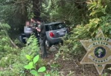 Arrestan a conductora por presunto DUI cerca de escuela en Port Orchard Vehículo gris fuera del camino entre árboles y vegetación mientras dos agentes del alguacil del condado de Kitsap trabajan en la escena de un incidente. Imagen tomada en una zona boscosa.