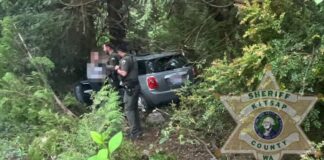 Arrestan a conductora por presunto DUI cerca de escuela en Port Orchard Vehículo gris fuera del camino entre árboles y vegetación mientras dos agentes del alguacil del condado de Kitsap trabajan en la escena de un incidente. Imagen tomada en una zona boscosa.