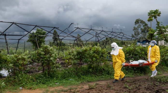 Estados Unidos endurece controles por ébola y limita ingresos desde tres países africanos Personal médico traslada a un paciente con ébola a un centro de tratamiento en Rwampara, Congo, el jueves 21 de mayo de 2026. (Foto AP/Moses Sawasawa)