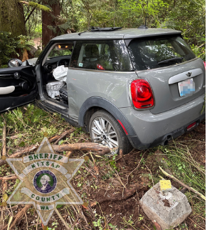 Vehículo gris fuera de la carretera en una zona boscosa, con daños visibles y bolsas de aire desplegadas en el interior. La imagen muestra la escena de un incidente en un área rodeada de árboles y vegetación.
