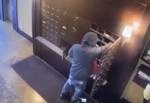 Arrestan a sujeto acusado de robo de correo y fraude en el condado Snohomish