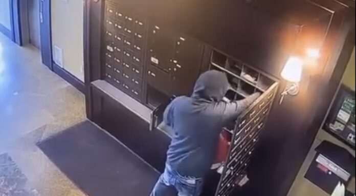 Arrestan a sujeto acusado de robo de correo y fraude en el condado Snohomish