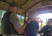 Hombre arrestado tras huir de una parada por DUI y alcanzar más de 160 km/h en Kitsap Momento en el que el sospechoso de escapar de la policía a 160 Km/h, es detenido por las autoridades — Imagen: Oficina del Sheriff del condado de Kitsap