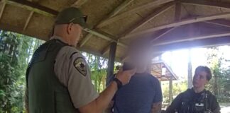 Hombre arrestado tras huir de una parada por DUI y alcanzar más de 160 km/h en Kitsap Momento en el que el sospechoso de escapar de la policía a 160 Km/h, es detenido por las autoridades — Imagen: Oficina del Sheriff del condado de Kitsap