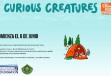 Programa de lectura llegará con nuevas actividades para adolescentes en el condado King Información sobre el comienzo del programa