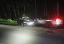 Persecución en Hoquiam termina con arresto de una «ciudadana soberana» Auto de la sospechosa luego de ser detenido por una patrulla — Imagen: Departamento de Policía de Hoquiam