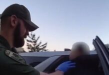Detienen en Bremerton a joven acusado de conducir bajo efectos de hongos alucinógenos Joven sospechoso de conducir bajo los efectos de hongos alucinógenos siento trasladado por un agente — Imagen: Oficina del Sheriff del condado de Kitsap