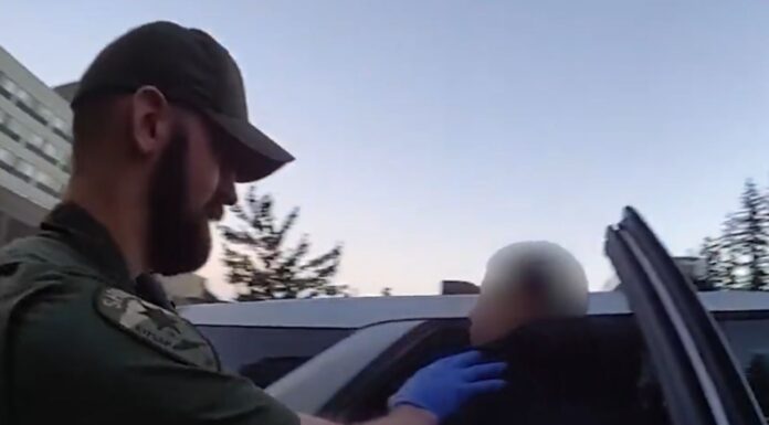 Detienen en Bremerton a joven acusado de conducir bajo efectos de hongos alucinógenos Joven sospechoso de conducir bajo los efectos de hongos alucinógenos siento trasladado por un agente — Imagen: Oficina del Sheriff del condado de Kitsap