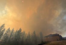 Incendio forestal en Spokane obliga a evacuar y destruye viviendas Una densa columna de humo se eleva del incendio Upriver, que arde al noreste de Spokane, Washington. — Foto: Robert Gray / Spokane Fire District 9 vía AP