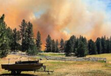 Investigan hallazgo de restos humanos tras incendio en Spokane En esta imagen, proporcionada por Scott Crawford, se muestra una nube de humo causada por el incendio Upriver, el 16 de junio de 2026, cerca de Spokane, Washington. (Scott Crawford vía AP)