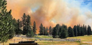 Investigan hallazgo de restos humanos tras incendio en Spokane En esta imagen, proporcionada por Scott Crawford, se muestra una nube de humo causada por el incendio Upriver, el 16 de junio de 2026, cerca de Spokane, Washington. (Scott Crawford vía AP)