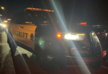 Detienen a conductor desnudo y presuntamente ebrio en la autopista 5 Patrulla de la oficina del condado de Thurston, en el lugar de suceso — Imagen: Sheriff Derek Sanders