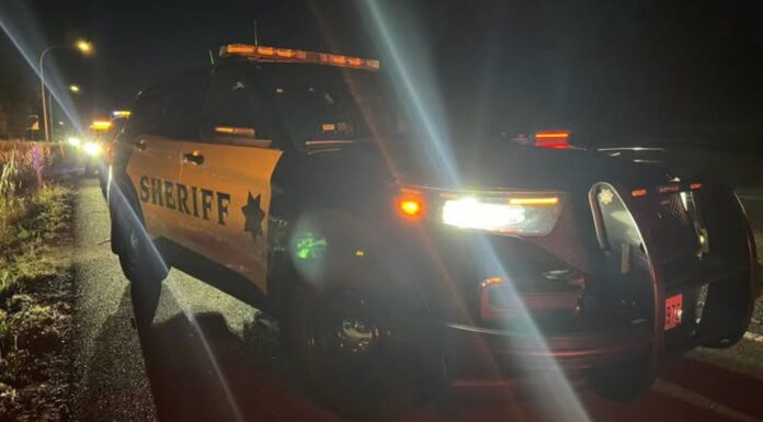 Detienen a conductor desnudo y presuntamente ebrio en la autopista 5 Patrulla de la oficina del condado de Thurston, en el lugar de suceso — Imagen: Sheriff Derek Sanders