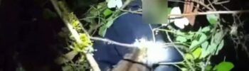 Momento en el que el perro policía "Clark" detiene al sospechoso — Imagen: Oficina del sheriff del condado Pierce.