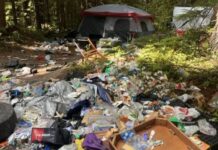 Retiran toneladas de basura de un campamento ilegal cerca de popular sendero Basura en un campamento ilegal ubicado cerca del inicio del sendero Slab Camp — Imagen: Oficina del sheriff del condado de Clallam
