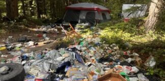 Retiran toneladas de basura de un campamento ilegal cerca de popular sendero Basura en un campamento ilegal ubicado cerca del inicio del sendero Slab Camp — Imagen: Oficina del sheriff del condado de Clallam