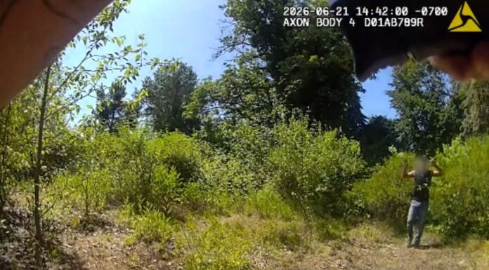 Dron ayuda a la Policía de Auburn a detener a sospechoso de violencia doméstica Momento en el que lo agentes localizan y detienen al sospechoso — Imagen: Departamento de Policía de Auburn