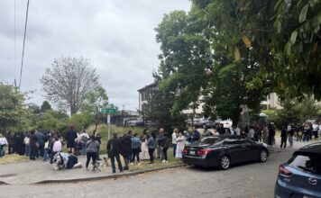 Cientos de personas acuden a jornada de asistencia migratoria para exclientes de Alexandra Lozano