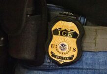 Aumentan los arrestos de ICE en la región del Puget Sound por nuevas cuotas federales