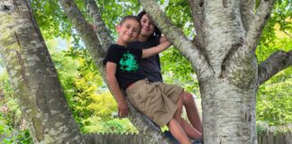 Muere niño de 6 años tras caerle un tronco en una playa de Bellingham