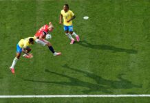 FIFA vende el césped de la final del Mundial, en trozos de $450 dólares