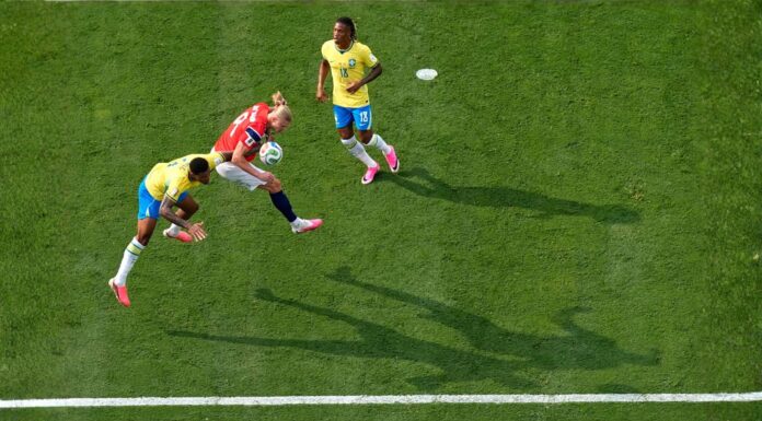 FIFA vende el césped de la final del Mundial, en trozos de $450 dólares
