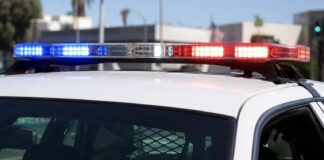 Investigan incendio de vehículo en Thurston County que dejó sin vida a un bebé