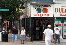 Estudio no encuentra relación entre inmigración indocumentada y aumento del crimen