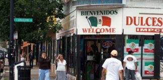 Estudio no encuentra relación entre inmigración indocumentada y aumento del crimen