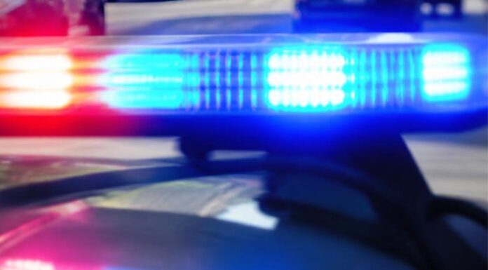 Conductor detenido, pasajero bajo custodia de ICE tras embestir tres vehículos en WA Luces de emergencia rojas y azules encendidas sobre un vehículo policial.