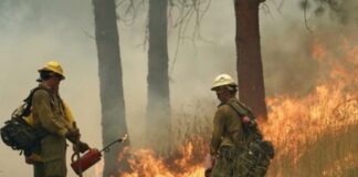 Gobernador declara emergencia por incendios forestales y prohíbe quemas en Washington Dos bomberos forestales observan el avance de las llamas mientras trabajan en labores de contención en un bosque de Washington.