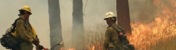Dos bomberos forestales observan el avance de las llamas mientras trabajan en labores de contención en un bosque de Washington.