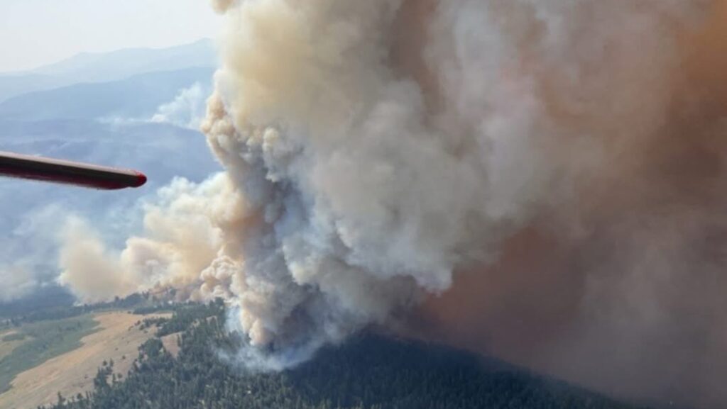 Vista aérea de un incendio forestal con una enorme columna de humo que se eleva sobre una zona boscosa en el estado de Washington.