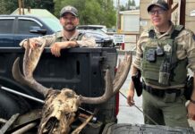 Investigación por caza ilegal de un alce en Republic deriva en múltiples cargos Dos agentes de vida silvestre junto a la cabeza y cornamenta de un alce recuperadas durante una investigación en Republic, Washington.