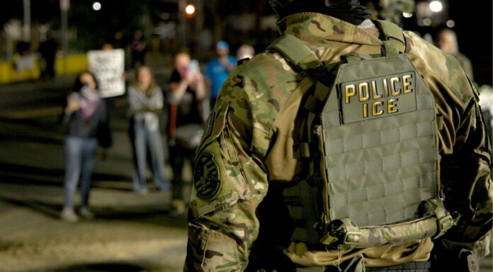 ICE planea equipar a sus agentes con guantes para propinar dolorosas descargas eléctricas
