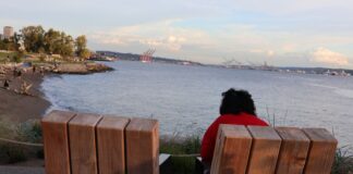 Microsoft, hospitales y otras empresas: los despidos se multiplican en el Puget Sound Persona medita frente a Puget Sound en Myrtle Edwards Park, Seattle, en medio de un año marcado por numerosos anuncios de despidos en la región.