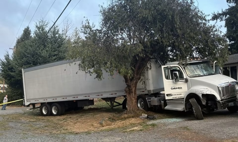 Camión semirremolque detenido junto a un árbol en una propiedad del área de Everett tras una persecución policial.